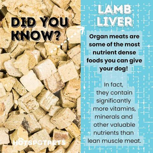 hotspot pets Lamb Liver Treats, 1LB Bag, All Natural Grain-Free Training Topper Snack, Made in USA