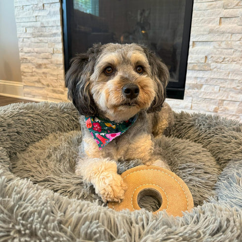 SPOT Dura-Fused Chunkies Ring Dog Toy - All Natural Leather and Felt, Durable Extra Thick Chew Toy for Aggressive