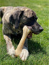 Nylabone Power Chew Monster Bone, Big Dog Chew Toy for Aggressive Chewers, Chicken Flavor, XX-Large