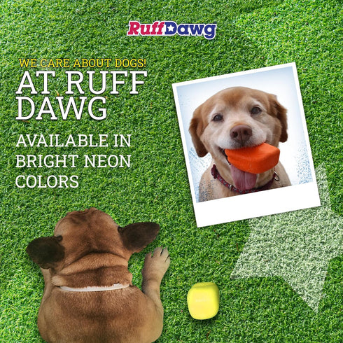 Ruff Dawg Rock Toy – 3.5” Durable, Floating, Bouncy Fetch Toy for Dogs – High-Visibility Colors