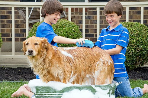 Pet Bath Massaging Dog Brush - Great Grooming Comb for Dogs, Cats, and Small Animals
