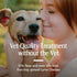 PETARMOR Home Carpet Powder for Fleas and Ticks, Protects Your Home, Deodorizes Carpets, 16 Ounce