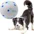 Indestructible Durable Bouncy Floating Balls for Dogs - Dog Balls Toys for Aggressive Chewers