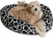 Majestic Pet Fusion Black Sherpa Bagel Bed, 24"