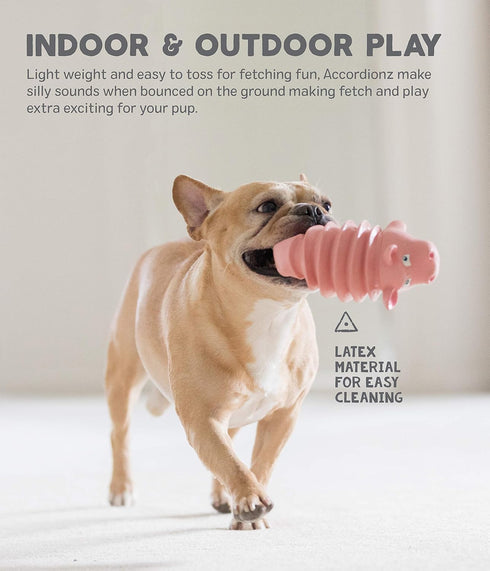 Outward Hound Accordionz Squeaking Toy, Latex Rubber Grunting Dog Toy - Alligator
