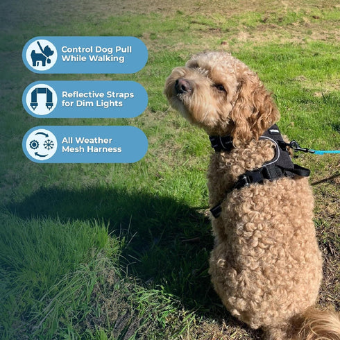Voyager No Pull Dog Harness, Adjustable Soft Strong Pet Harness for Medium Dogs, Black Nylon with Dual Leash