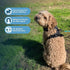 Voyager No Pull Dog Harness, Adjustable Soft Strong Pet Harness for Medium Dogs, Black Nylon with Dual Leash