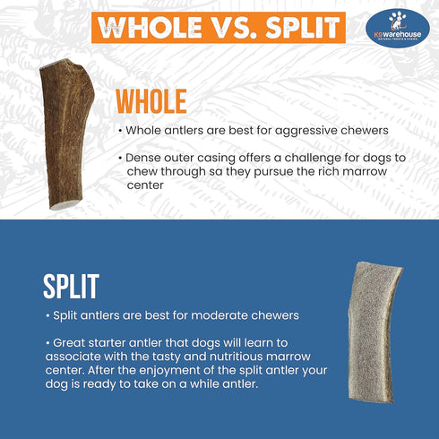 Elk Antlers for Dogs - USA Sourced Antler Chews for Aggressive Chewers, Promotes Oral Health for All Sizes