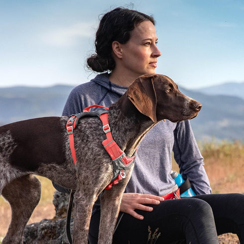 Kurgo Journey Air Dog Harness - Vest Harnesses for Dogs, Pet Hiking Harness for Running & Walking, Reflective, Padded,