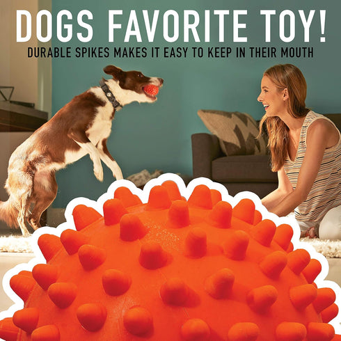 Set Franklin Pet Supply Co. Ready Fetch All Weather Ball - Launcher Ball - Slobber and Water Resistant,Orange