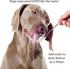 32 oz, Elbows, Organic Coconut Oil for Dogs & Cats Skin and Coat, Natural Treatment for Itchy Skin, Dry Paws & Nose