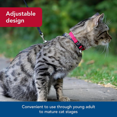 Coastal Pet New Earth Soy Adjustable Breakaway Cat Collar, Eco-Friendly, Cranberry, 3/8" x 08"-12"