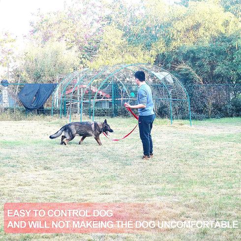 Dog/Puppy Obedience Recall Training Agility Lead - 15 ft 20 ft 30 ft 40 ft 50 ft Long Leash (30 Feet, Purple)