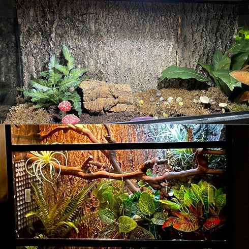 Tfwadmx 2Pcs Cork Terrarium Background, 11.8” x 11.8” Natural Cork Bark Backdrop for Reptile Accessories