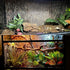Tfwadmx 2Pcs Cork Terrarium Background, 11.8” x 11.8” Natural Cork Bark Backdrop for Reptile Accessories