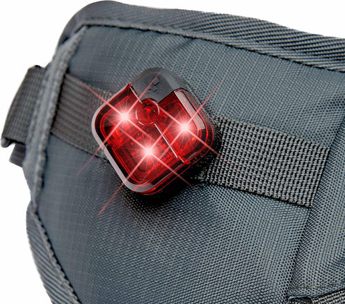 Pack Blueberry Style Grey Bumbag Waist Bag Fanny for Walking Running - Built-in Poop Bag Holder, Dog Treat Pouch