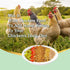 5LB WORMSKING Dried Black Soldier Fly Larvae, More Calcium Than Dried Mealworms, High Protein Chicken Feed,Duck Food
