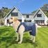 Classic Dog Jeans Overall for Medium Large Dogs, Pet Denim Jumpsuit Onesies Clothes Costumes, Blue Vintage Washed