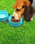 Collapsible Silicone Twin Dog Bowls with Zipper Case, 2 in 1 Portable Travel Dog Bowls