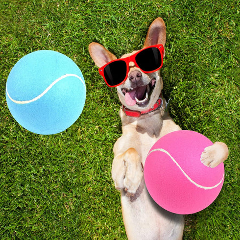 Giant Tennis Ball for Dogs - 2 Pack 9.5 Inch Pink and Blue Inflatable Jumbo Tennis Ball for Interactive Play