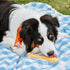 Nylabone Textured Knuckle Bone Power Chew Toy, Peanut Butter Flavor, X-Large - Durable Dog Toys for Aggressive Chewers