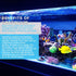 Continuum Aquatics Bacter Gen M - Microbial Bacteria Culture for Marine Systems