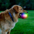 Nite Ize GlowStreak LED Dog Ball - Motion Activated, Color-Changing, Disc-O