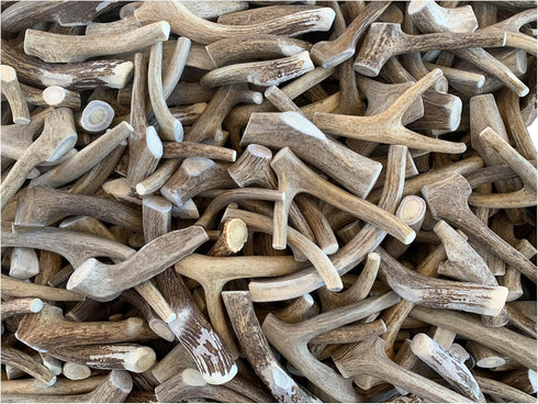 Premium Deer Antler Pieces - Dog Chews, Sold by The Pound