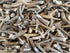 Premium Deer Antler Pieces - Dog Chews, Sold by The Pound