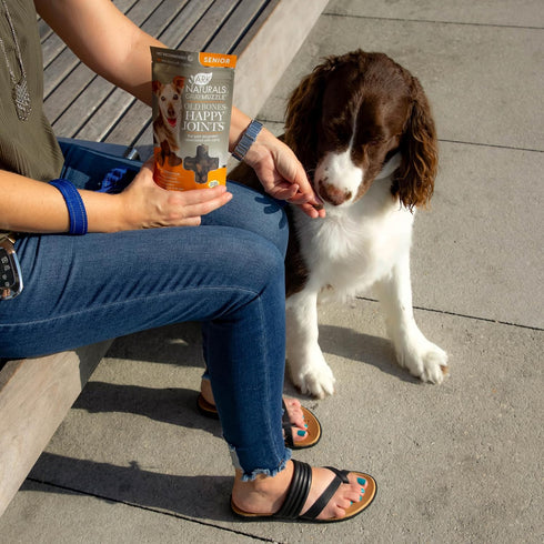 ARK NATURALS Gray Muzzle Old Dogs! Happy Joints! - 90 Soft Chews with Glucosamine, Orange