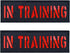 2 Pack Black Red Reflective Tactical Dog Patches Service Dog, in Training, DO NOT PET Tags with Hook and Loop Patches