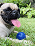 Tuff Pupper SuperChewy Tough Dog Ball Toy, Strong Natural Rubber Fetch Toy for Aggressive Chewers