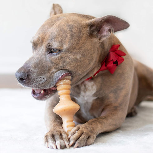 Benebone Zaggler Rolling Dog Chew Toy, Real Chicken, Made in USA, Medium Size