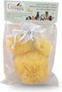 Sea Sponges for Dogs, Luxury Canine Bath Care for Pet Grooming