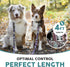 Embark Urban Dog Leashes - Colorful & Strong Leash for Small, Medium & Large Breed Dogs (Aztec, 4 Ft)