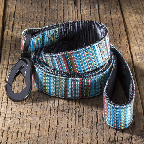 Embark Urban Dog Leashes - Colorful, Strong and Sturdy Nylon Dog Leashes for Small Dogs, Dog Leashes Medium Dogs and Dog Leashes Large Breed Dogs, Heavy Duty Dog Leash (Boho, 4 Ft Dog Leash)