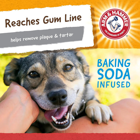 Arm & Hammer Nubbies Wishbone Dog Dental Toy, Best Chew Toy for Moderate Chewers, Chicken Flavor