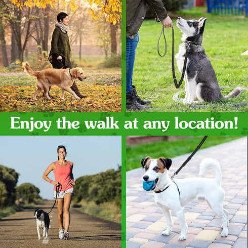 Heavy Duty Dog Leash 4-6Ft Length – Reflective Bungee Leash for Medium, Large Dogs with Traffic Control Handle