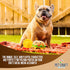 Pet Craft Supply 2 Pack Puppy Teething Dental Chew Toys, Tough Nylon Bone with Squeaky Plush Ball for Small Medium Dogs