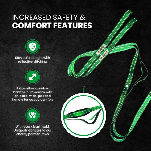 Dual Dog Leash for Small to Large Dogs, 6 FT Heavy Duty with Double Handles for Training, Walking, Running