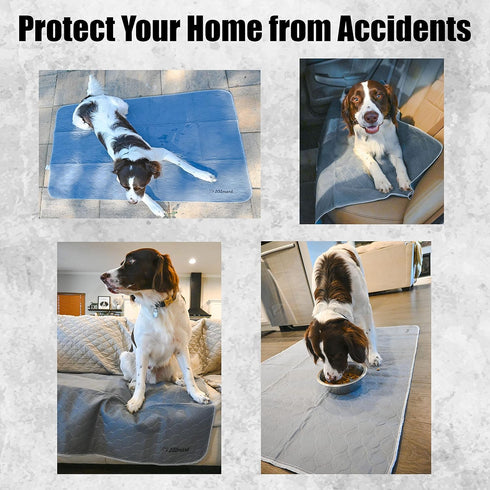 101mart 2-Pack Premium Washable Reusable Dog Pee Pads| Multi-Purpose Super Absorbent Leak-Proof Non-Slip Mat for Potty