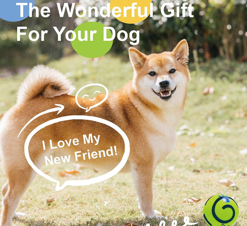 Wobble Giggle Ball Dog Toy, Squeaky Interactive Chewing Ball for Training, Indoor Outdoor Use