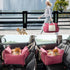 Lesure Small Dog Car Seat - Waterproof Booster Seat with Storage Pockets, Clip-On Safety Leash, Memory Foam Filling,