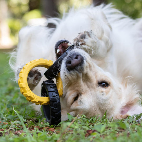 Tonka Rubber 3-Ring Tug Dog Toy, Lightweight, Durable and Water Resistant, 7.5 Inches, for Medium/Large Breeds, Single Unit, Yellow/Black