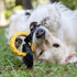 Tonka Rubber 3-Ring Tug Dog Toy, Lightweight, Durable and Water Resistant, 7.5 Inches, for Medium/Large Breeds, Single Unit, Yellow/Black