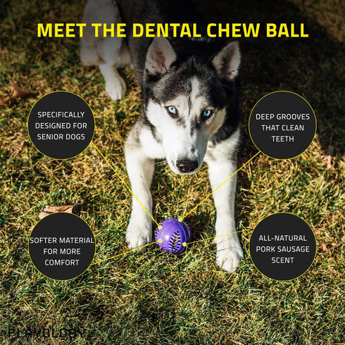 Playology Silver Dental Chew Ball Dog Toy, Medium for Senior Dogs (15-35lbs), All-Natural Pork Sausage Scent