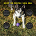 Playology Silver Dental Chew Ball Dog Toy, Medium for Senior Dogs (15-35lbs), All-Natural Pork Sausage Scent