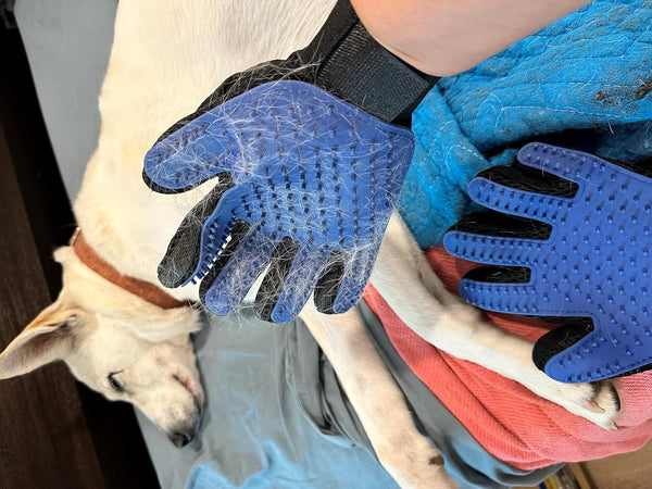 1 Pair Pet Grooming Glove, Gentle Hair Remover Brush for Dogs and Cats, Easy to Use and Clean
