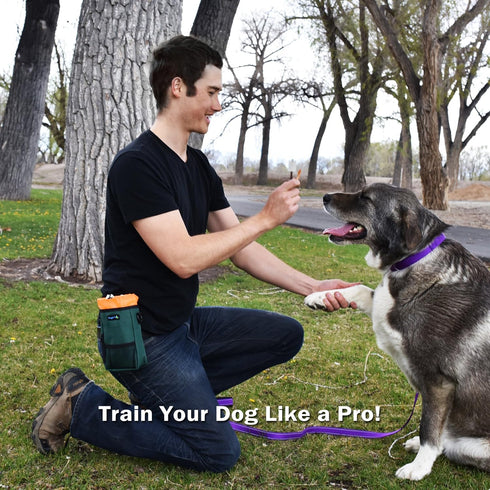 Smart Dog Treat Pouch Bag for Dog Training, Easy Access to Treats & Accessories, Earth Green by Wagtime Club