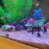 Aquarium Fish Tank Decorations, Decor Accessories Set for Glofish/Betta Fish Bowl, Undead Pirates Figurines